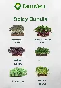 Spicy Bundle