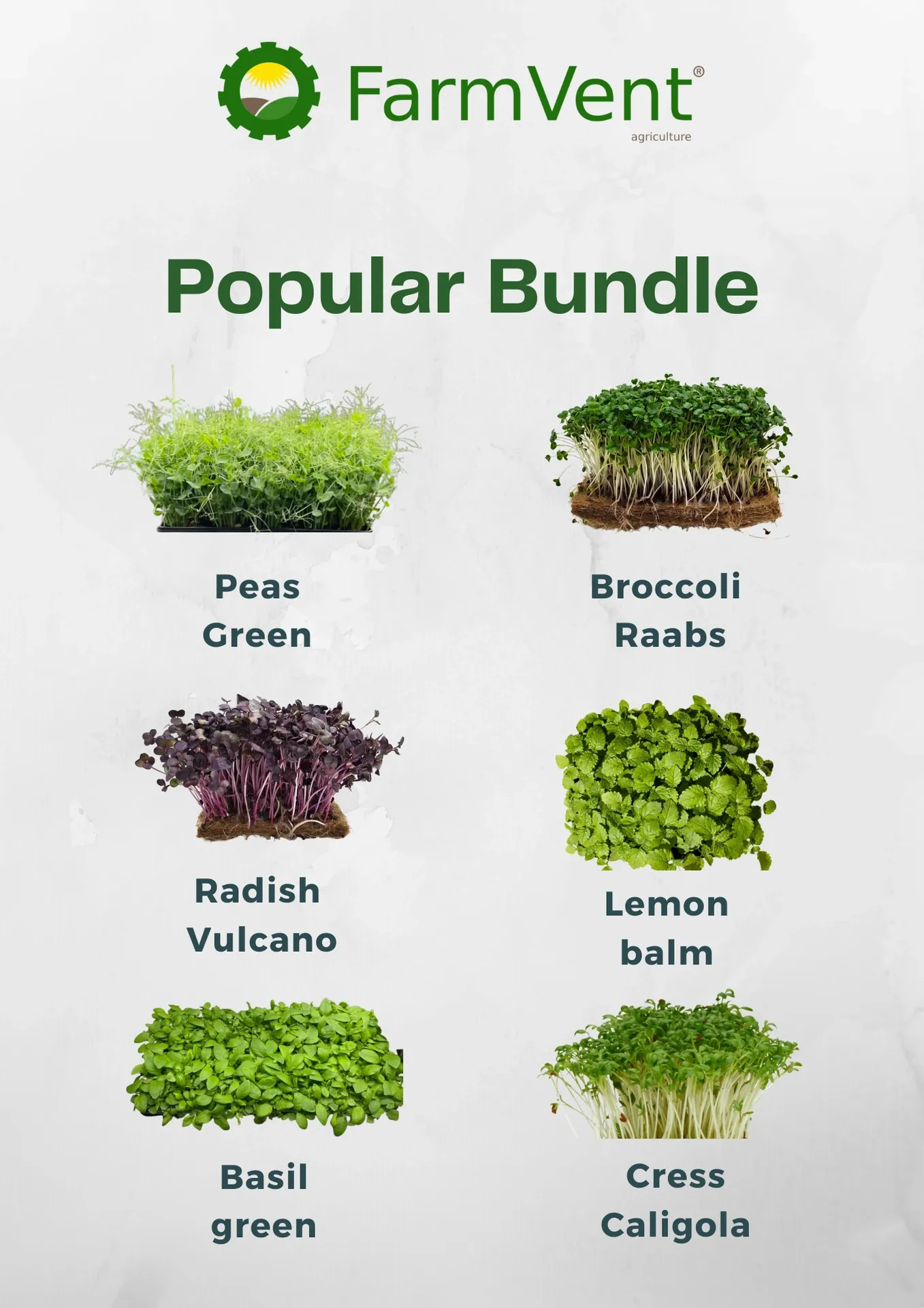 Popular Bundle