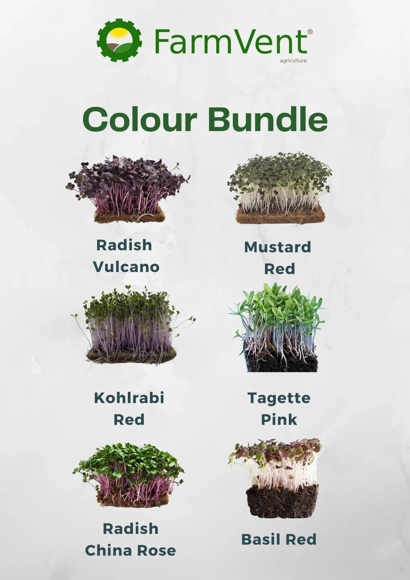 Colour Bundle